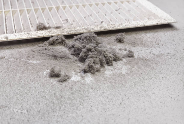 Best Home Air Vent Cleaning  in Minooka, IL