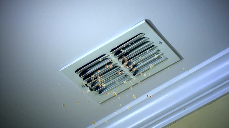 Best Air Vent Cleaning Services  in Minooka, IL
