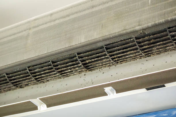 Best HVAC System Cleaning  in Minooka, IL